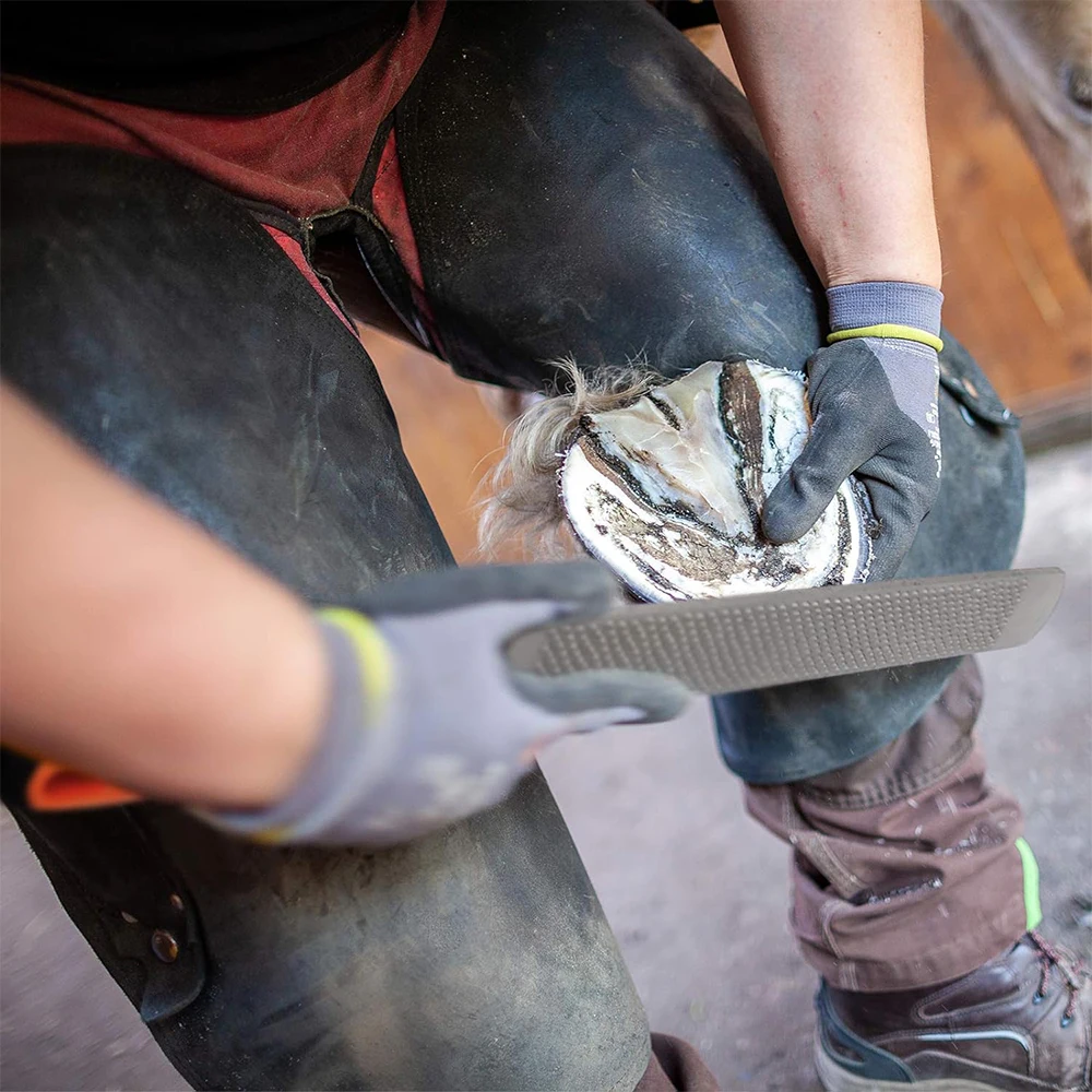 Professional Farrier Tool Kits Hoof Rasp Hoof Nippers Hoof Knife 3 in 1 for Farriers, Veterinarians, and Horsemen Ariston