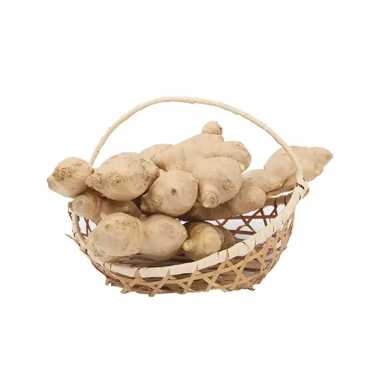 Freshly Harvested Ginger Straight From The Farm Buy Freshly Harvested Ginger Straight From The