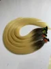 Ombre color 1b/613