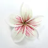B07 : Green Pink