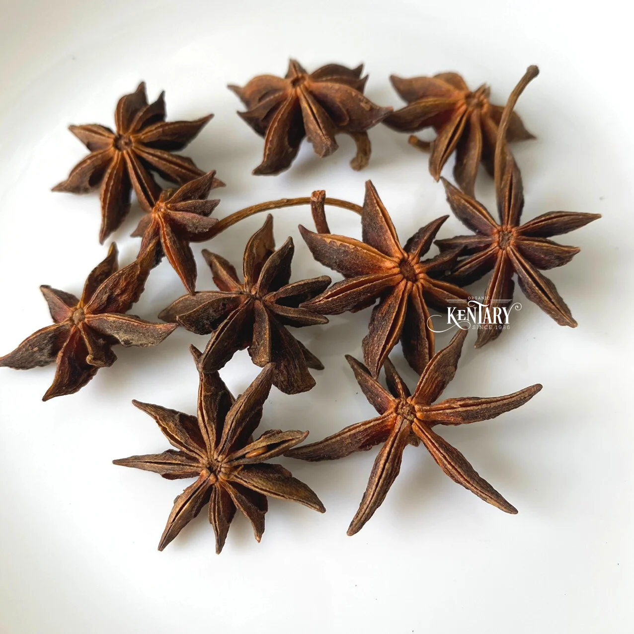 Large Quantities of Spring Star Anise Explosive Flavor 100% Pure Non-GMO Best Price From Vietnamese with Nutmeg and Chili
