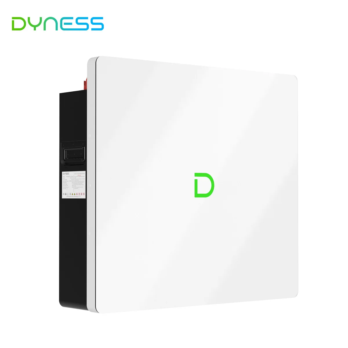 Dyness Powerbox G2 10kwh Solar Battery 51.2v 200ah 10000 Cycle Built Wifi Smart BMS IP65 Fire protection System 10 Years