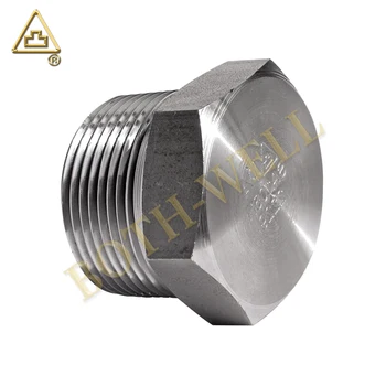 Asme B Asme Astm A Sa Hex Plug Threaded Forged Carbon Steel