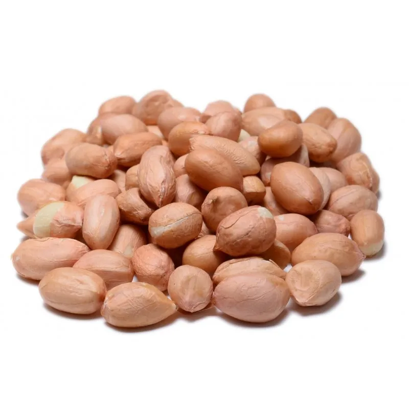 High Quality Blanched Dried Red Skin Grade a Peanut KBS Brand 12 Months Shelf Life 25kg Packaging Food Use