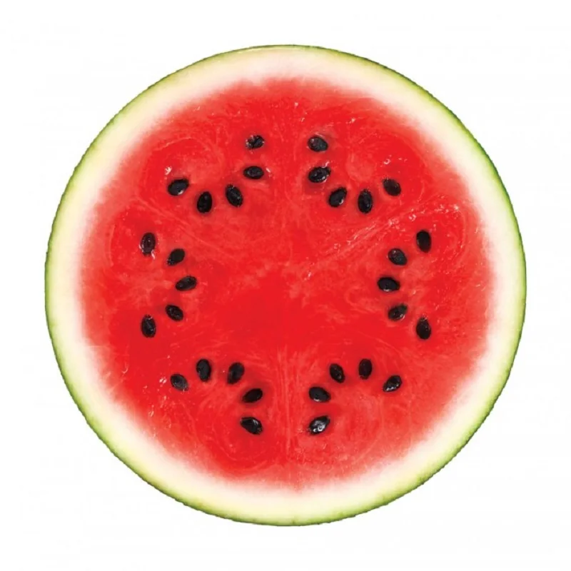 High Quality Fresh watermelon Best Price