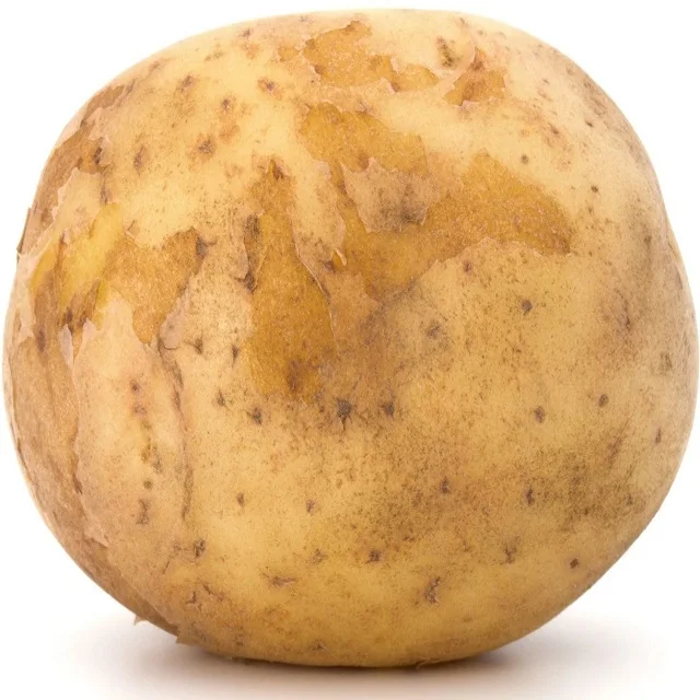 PRO275_F.jpg
