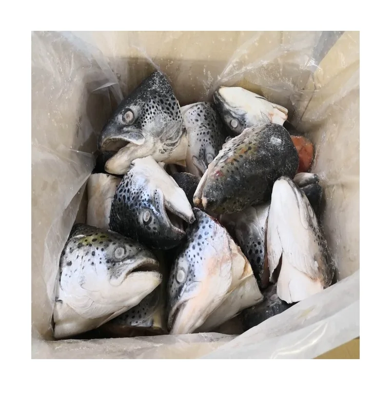 Pure Quality Frozen Salmon Fish Heads 450gr+ France Supplier Bulk 