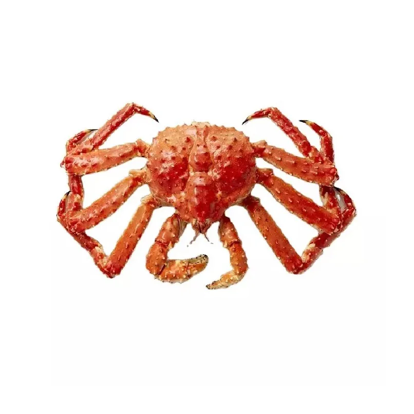 Frozen King Crab/live King Crabs/king Crab Legs For Sale At Wholesale