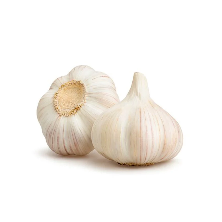 21 (1).png