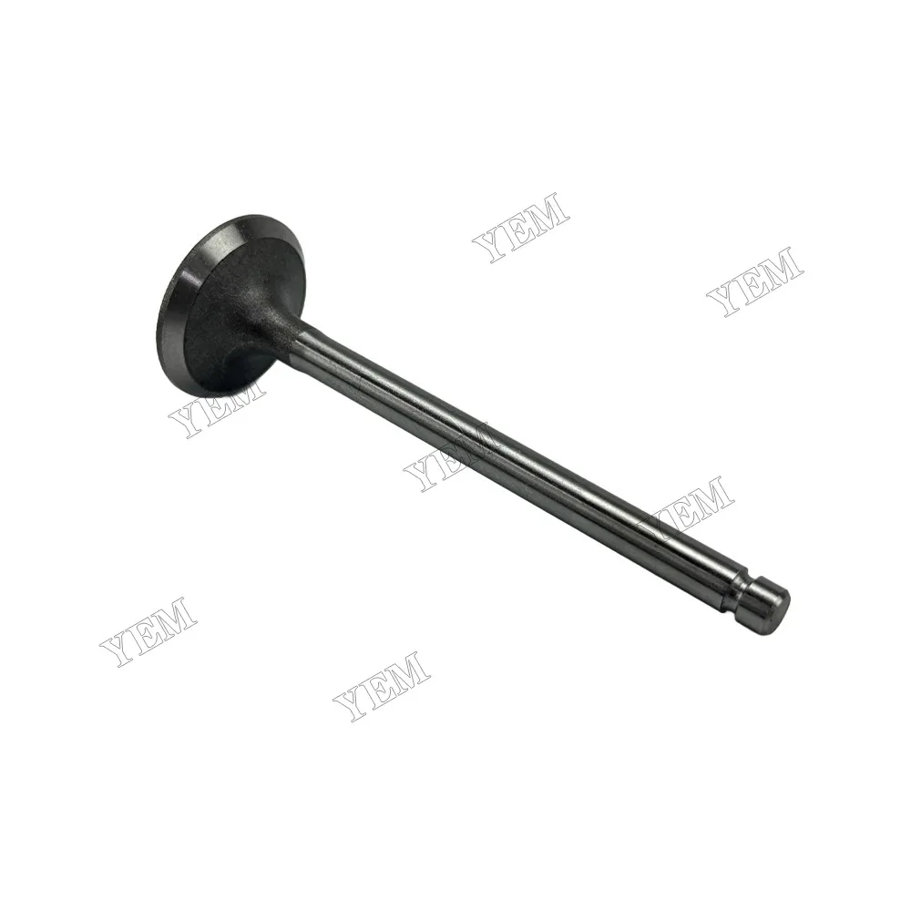 Intake Valve Fit for Laidong 4L22B Engine 6