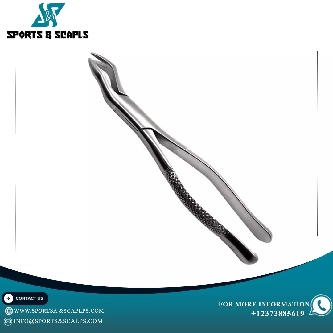 Dental Extraction Forceps Stainless Steel Top Quality Best Price With Customized Size Oem