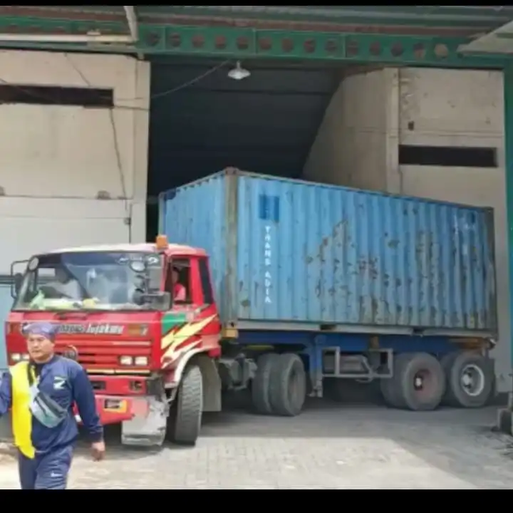 Wholesale Dried Whole Galangal Roots High Quality Export Quality Single