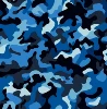 Camo sea