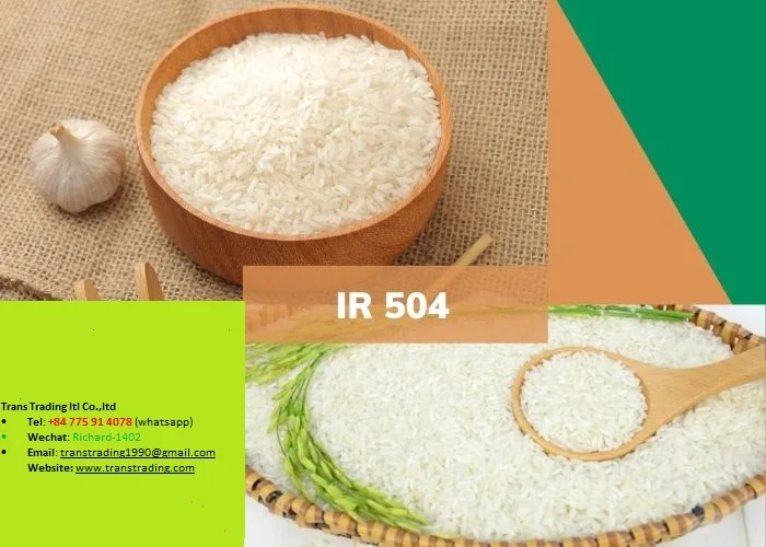 High Quality Best Price Manufacturer White Rice Wholesale Vietnamese