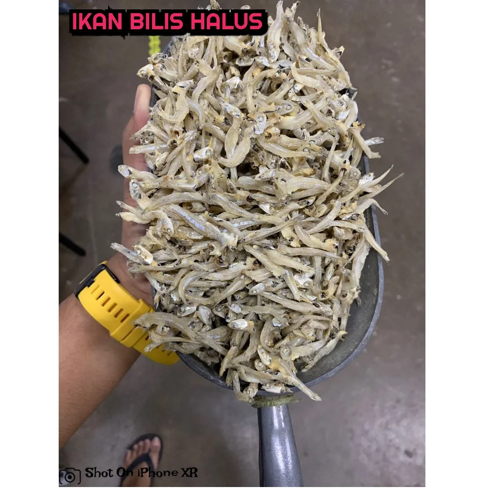 Bulk Sales Dried Anchovy Fish Dried Seafood Supplier Soft Japanese