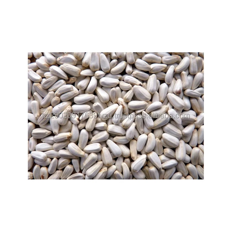 safflower seeds wholesale