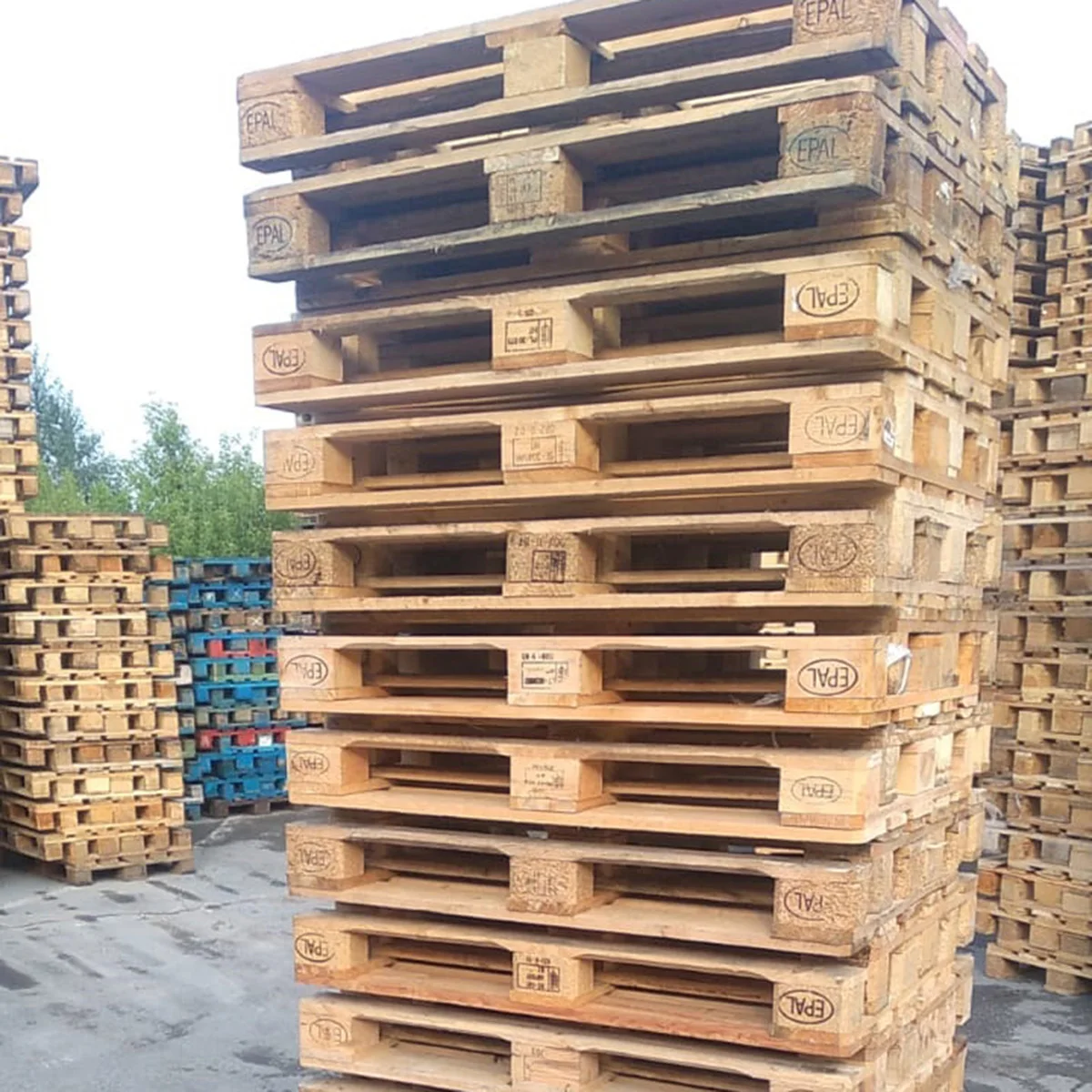 Wooden Pallets For Sale Used Euro Pallets 1200 X 800 Wholesale Prices
