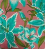 Menthe