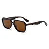 C6: Tortoise/ Brown