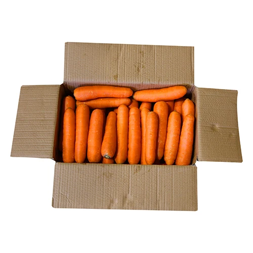 Organic Fresh Carrots Wholesale Bulk Washed & Graded 10kg Mesh Bags Orange/Red Ready to Use for Export in Competitive Price