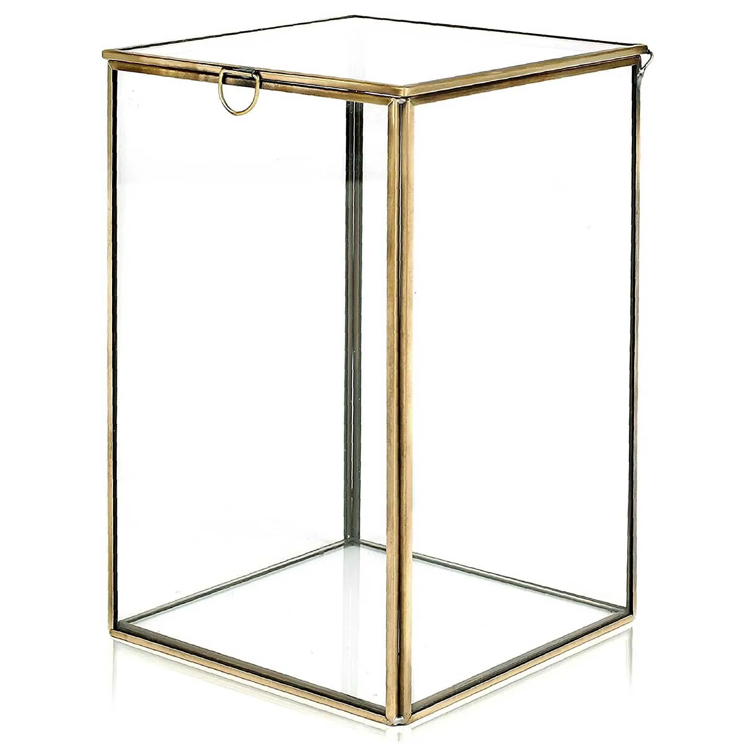 Standing Clear Glass Box Brass Metal Frame Tabletop Curio Case Shadow Box Jewelry Organizer Tabletop Display Box