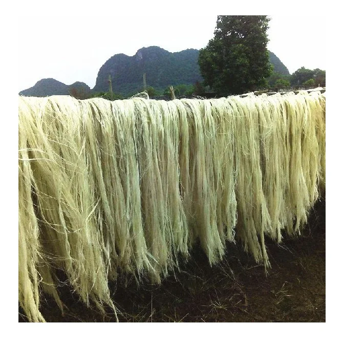 Wholesale Supplier of White 100% Natural quality sisal fiber  raw sisal fiber material Read To Exports