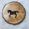 Customize
