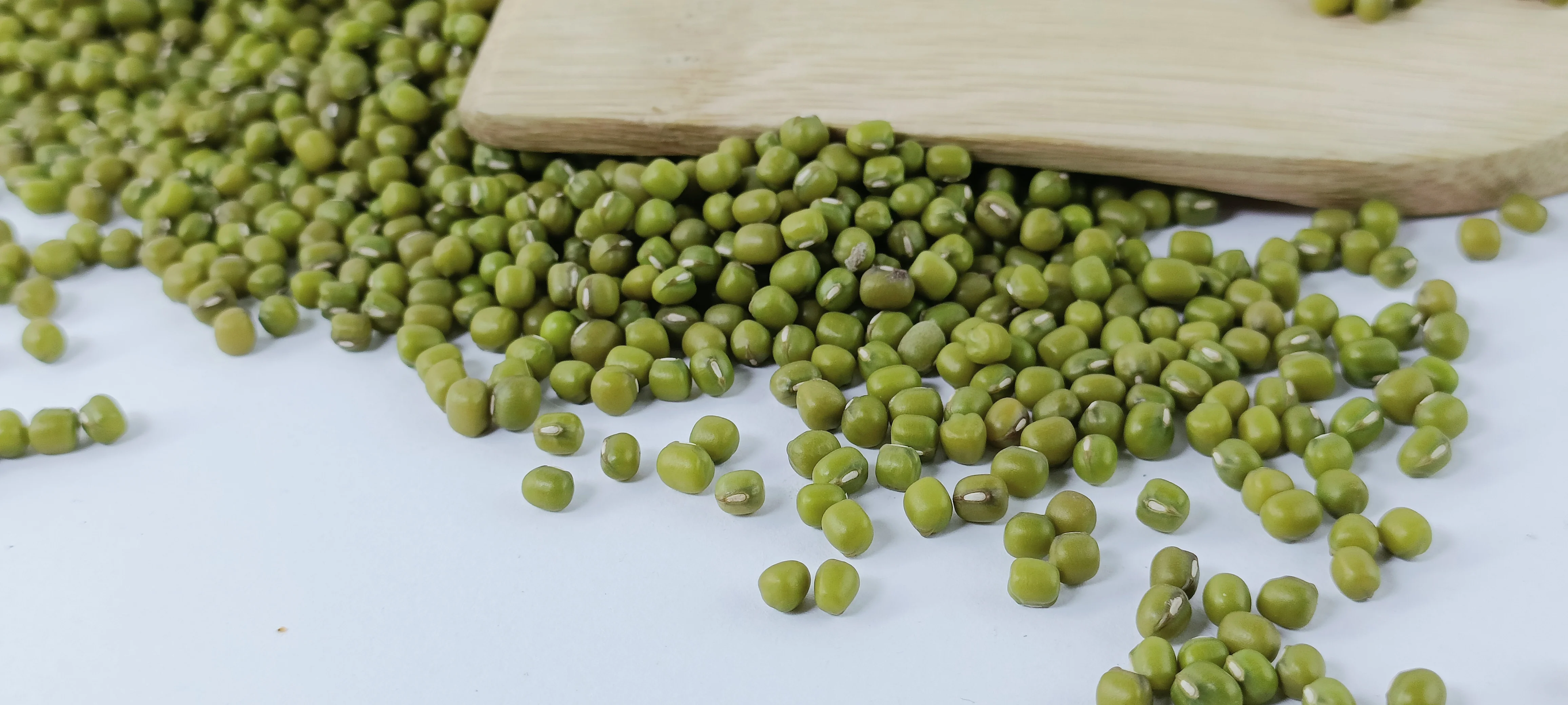 Ethiopian Green Mung Beans 2024 Crop,Bright Green Handpicked And ...