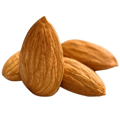 546 (3).png
