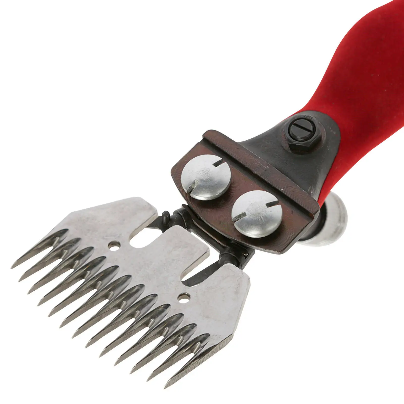 New Arrival Veterinary Instruments One Hand Sheep Clipper Veterinary