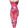 Estampado de Cisne