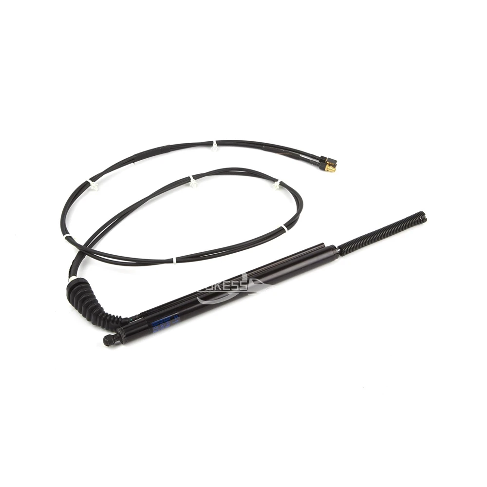 23429744 20928645 Electric Tailgate Strut for Cadi — 2