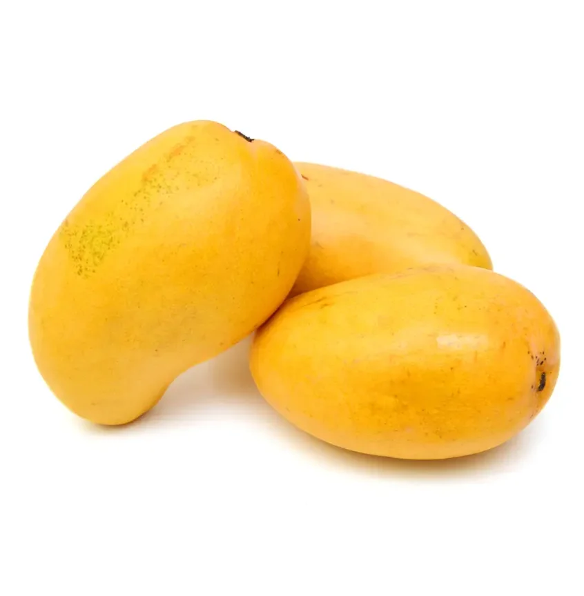 0100 (4).png