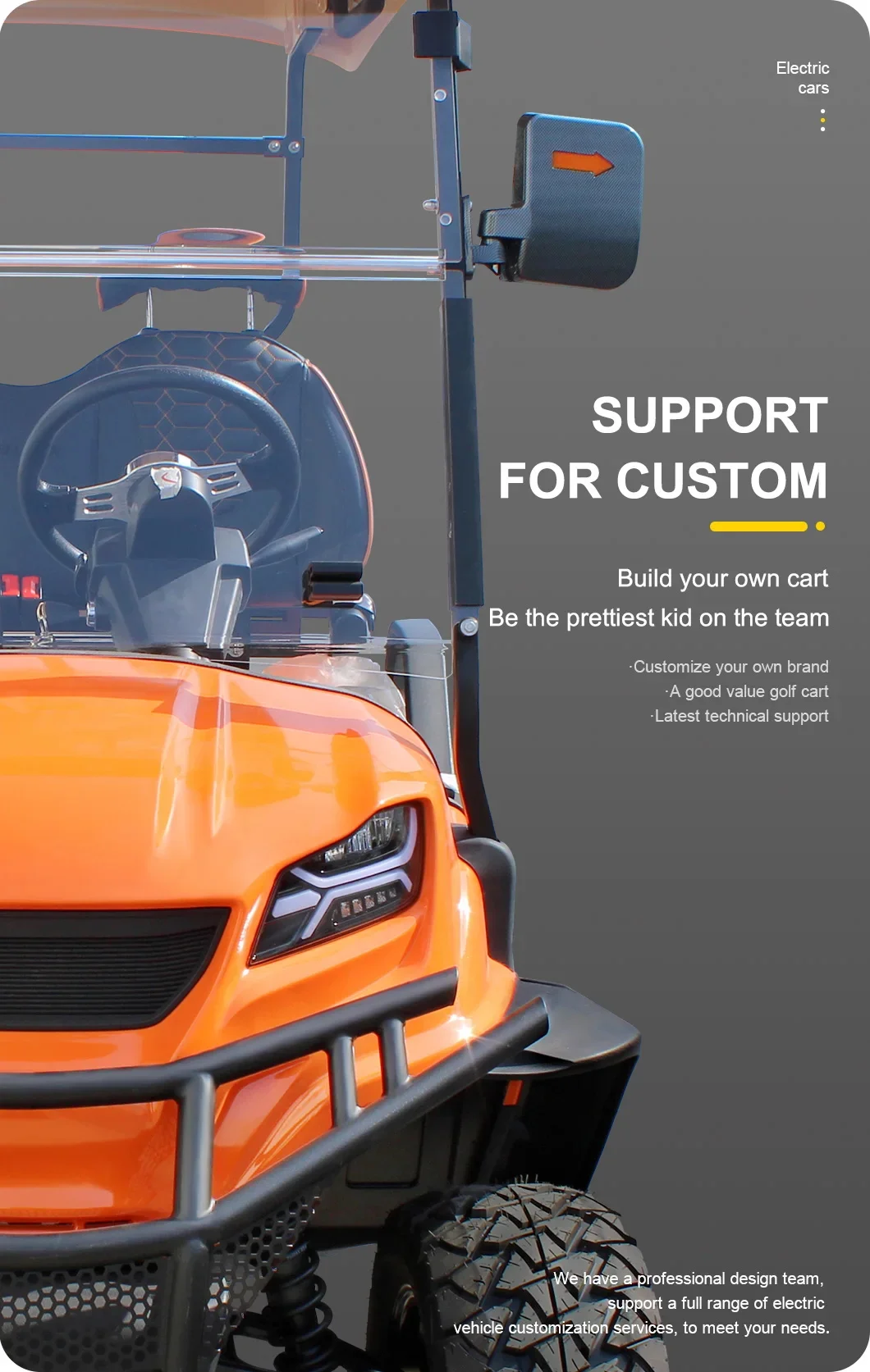 4 Wheel 2 Seat Buggy Golf Cart Lithium Battery Electronic Vehicle Small