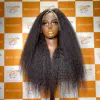 Wig 01