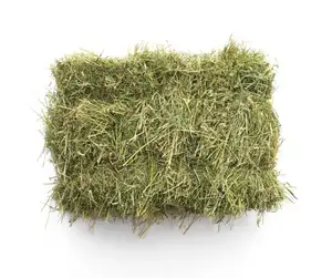 Fresh Green Timothy Hay Bales All Sizes Premium Animal Feed for Horses and Cattle Made in