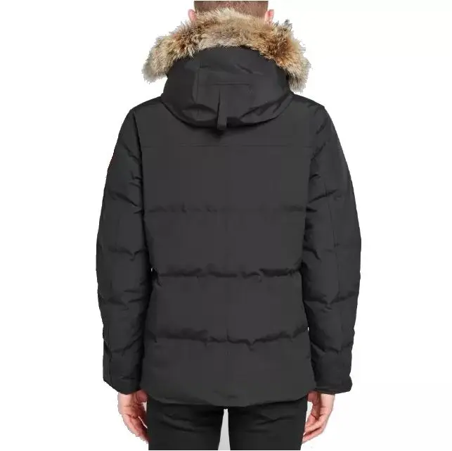 Custom Logo Polyester Down Puffer  Feather Jacket Mens Casual Zipper up Duck Down Jacket Cheap Price Mens Coat for Winter