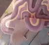 Púrpura