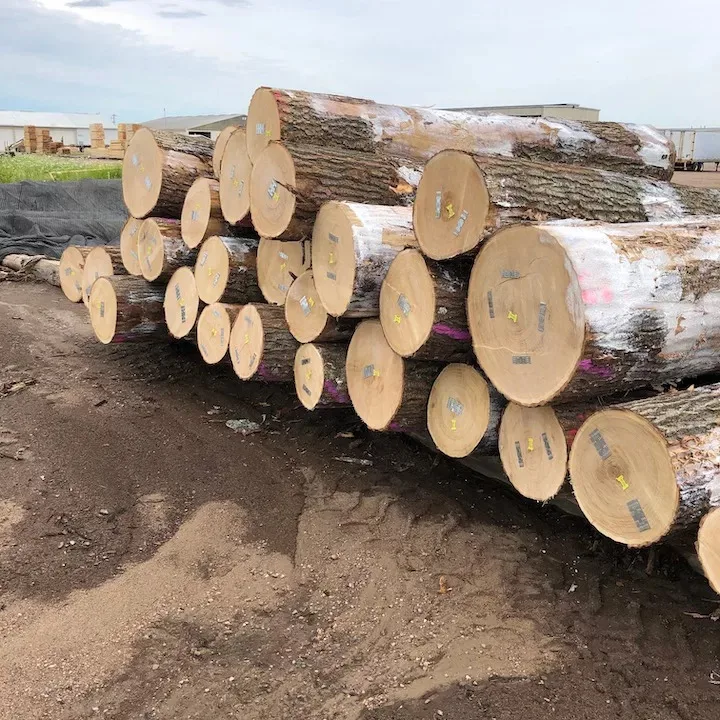 Oak Logs.jpg