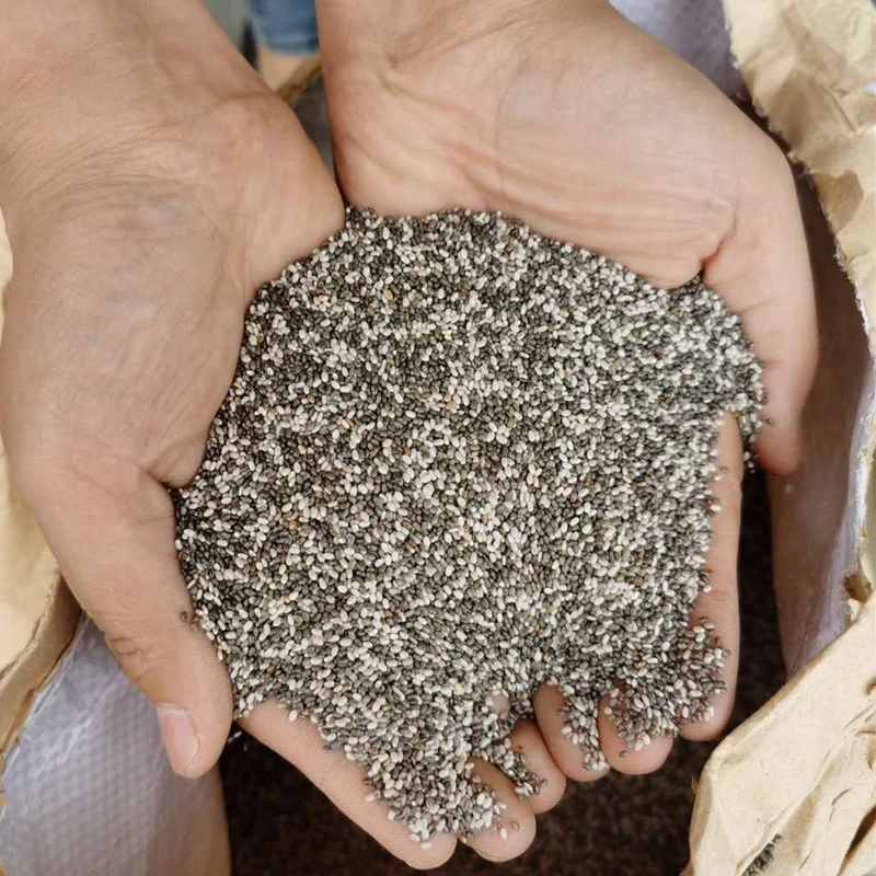 Chia Seeds Peru I Chia Seeds Organic / Buy Organic Chia Seeds In Kilograms And Custom Packaging