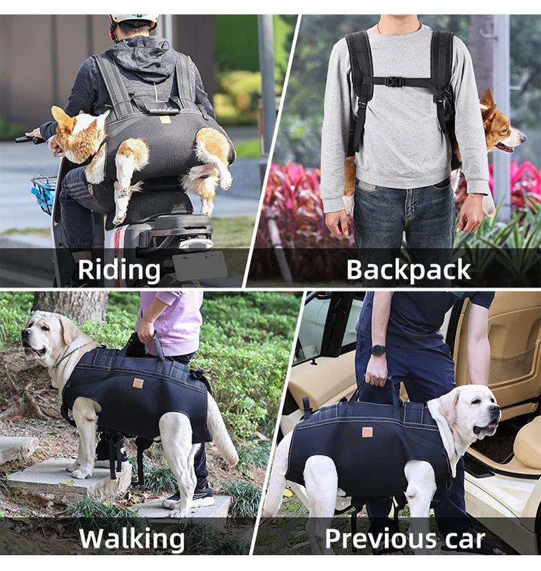 Golden Dog - Dog Transport Box With Safety Belt L-65 X 53 X 27 Cm - Leather