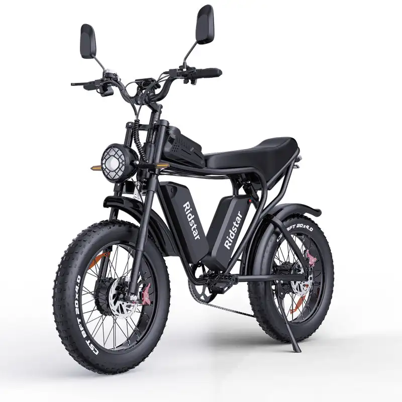 RIDSTAR Q20 Pro 20"*4.0 Fat Tires Electric Mountain Bike 2*1000W Motor 52V 40Ah Dual Battery