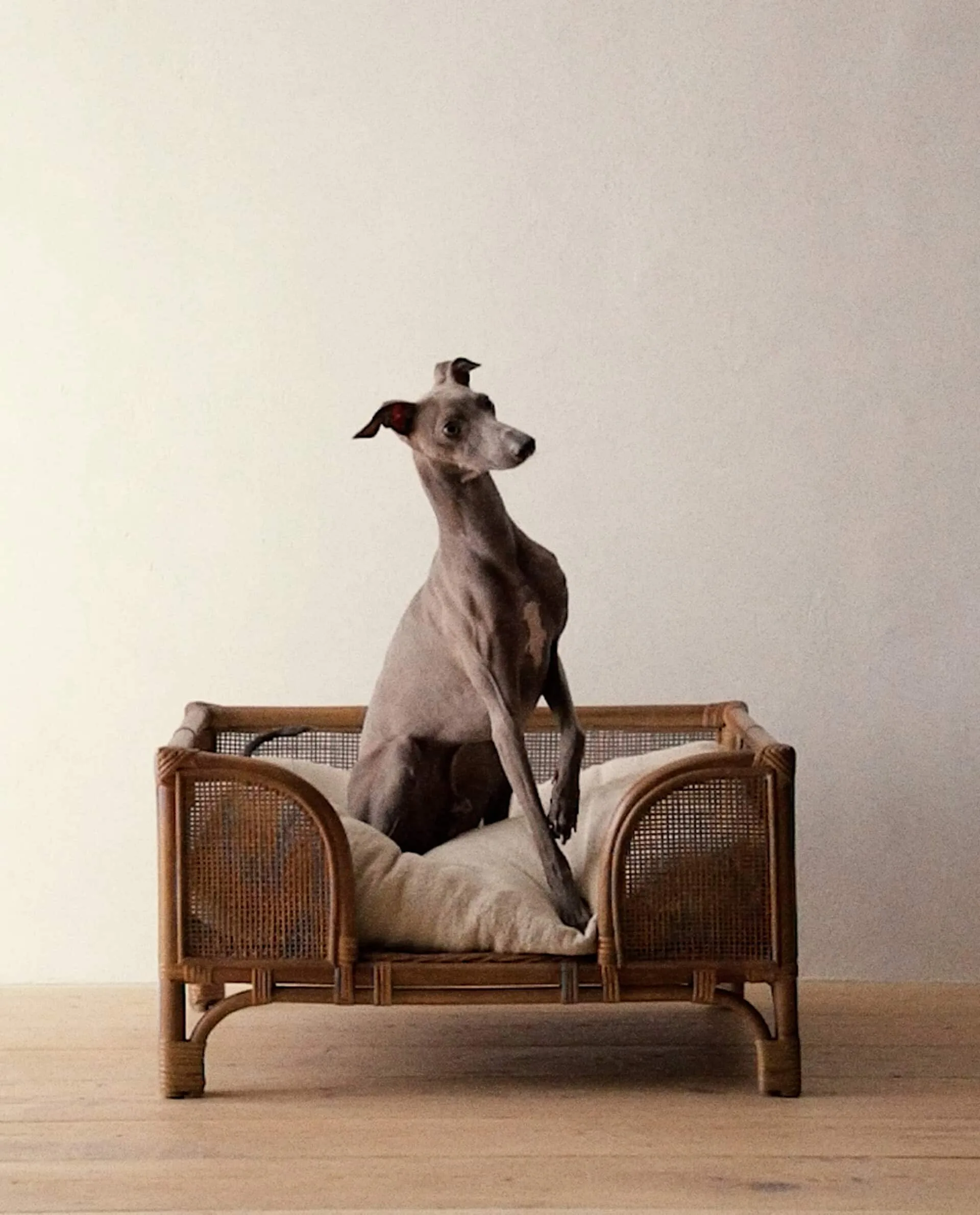 Design Wholesale  Raised Rectangular Rattan Bed for Pets  for Cat and Dog in Vietnam2023 Handcrafted