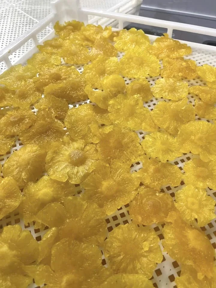 Dried Pineapple Slices Soft with Sugar Delicious Dried Fruit Tropical Exotic