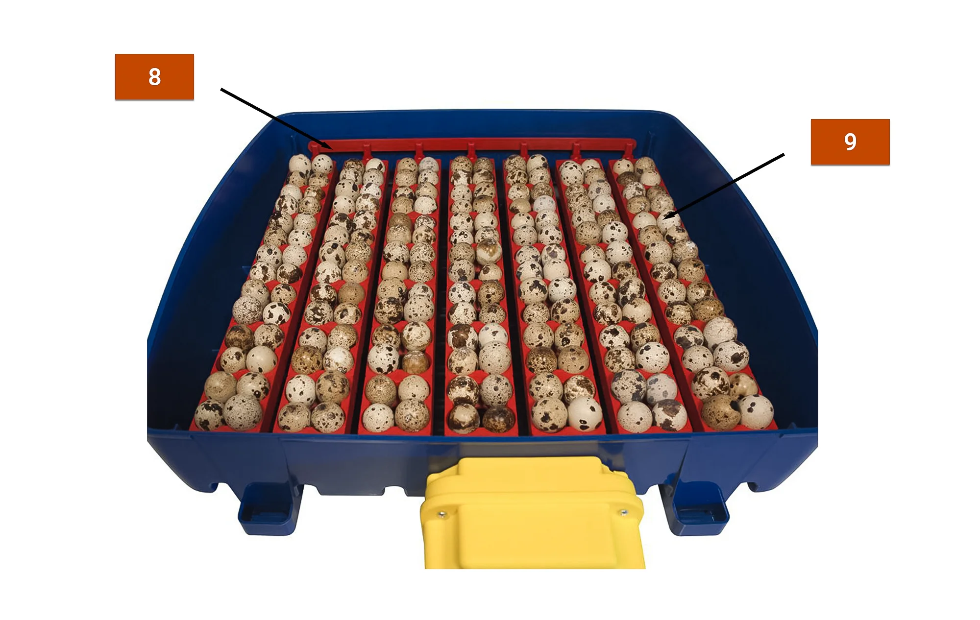 Professional Egg Incubator Farm Home Use Chickens Ducks Quails Pigeons