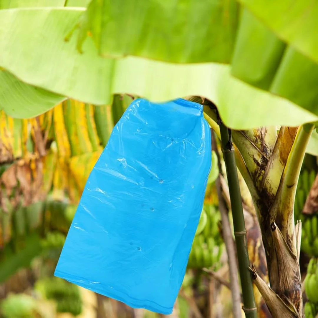Banana Tree Protective Bags Eco-friendly Banana bunch Bags Biodegradable Plant protection Bags