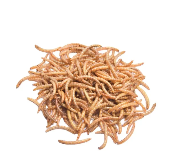 Dried Meal Worms/mealworms For Poultry Feed Animal Buy Meal Worms