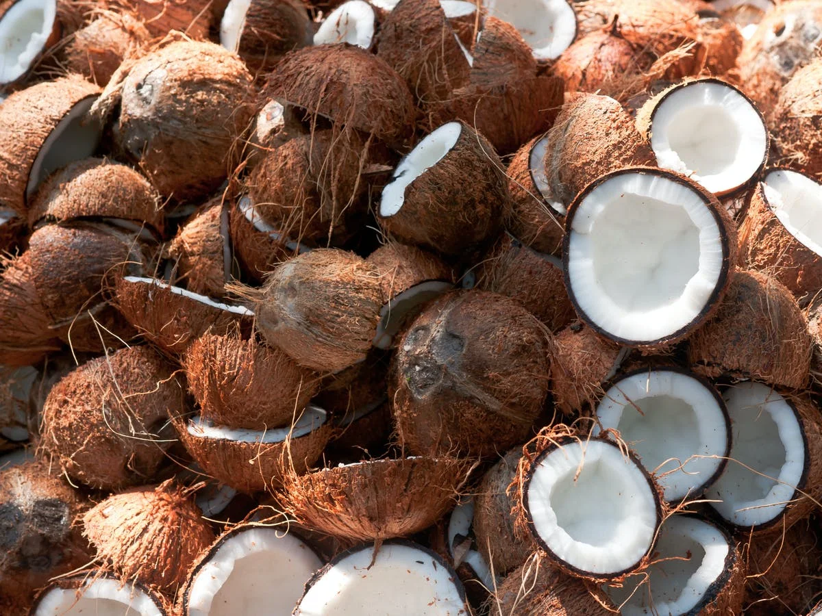 coconuts.jpg