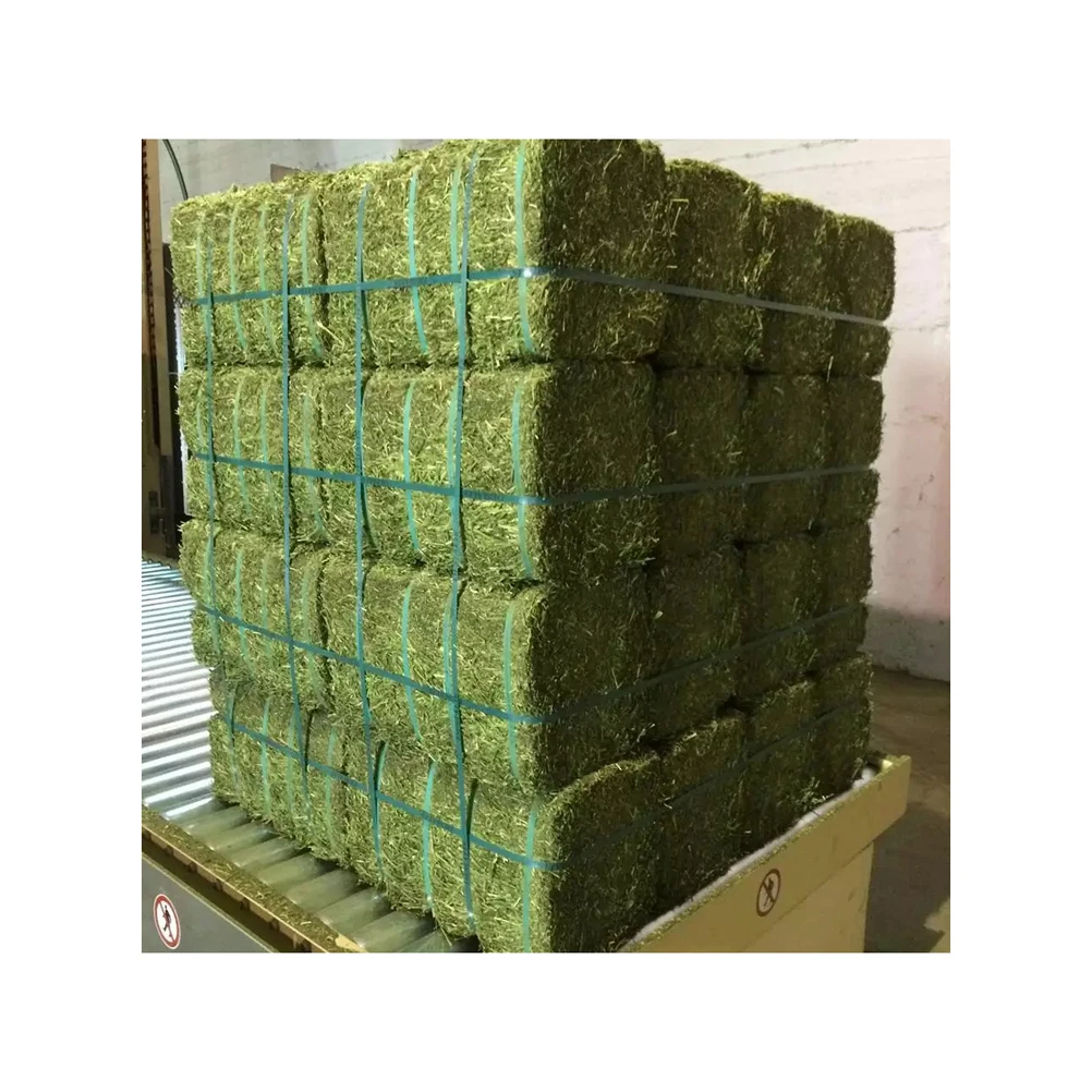Curated visual reference: High Quality Dried Alfalfa Hay Bales Alfalfa Pellets Dehydrated Timothy Photo Inspiration