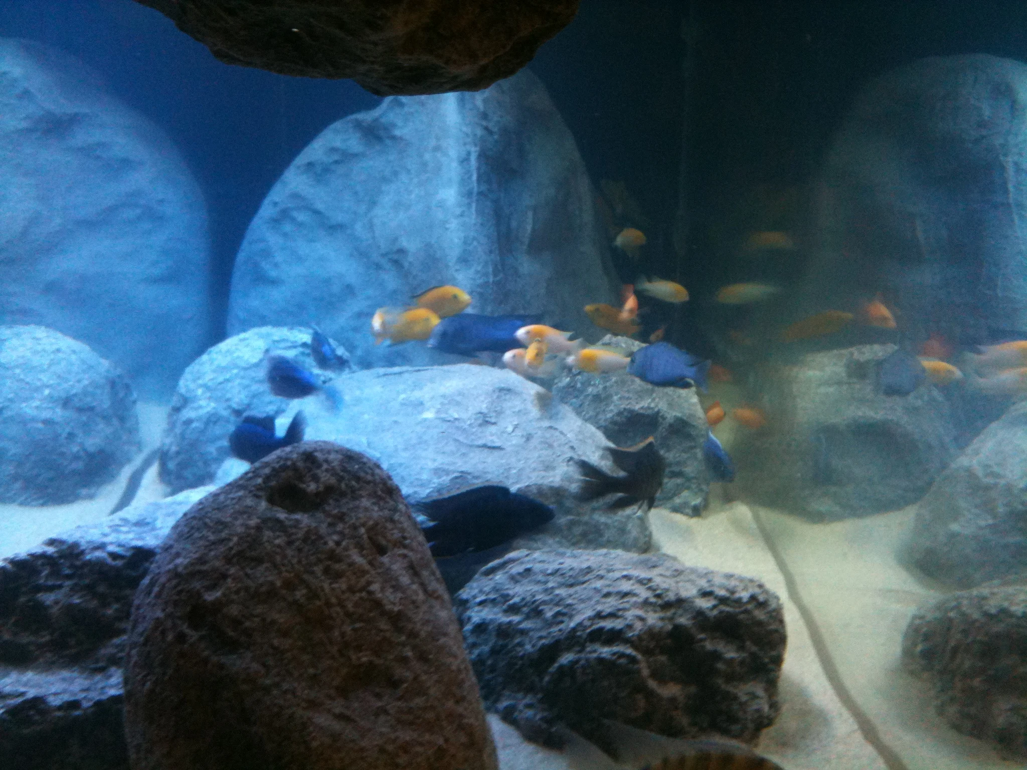 Waterproof Rocks Alibaba.com: Waterproof 3D resin artificial rocks for home, restaurant ...